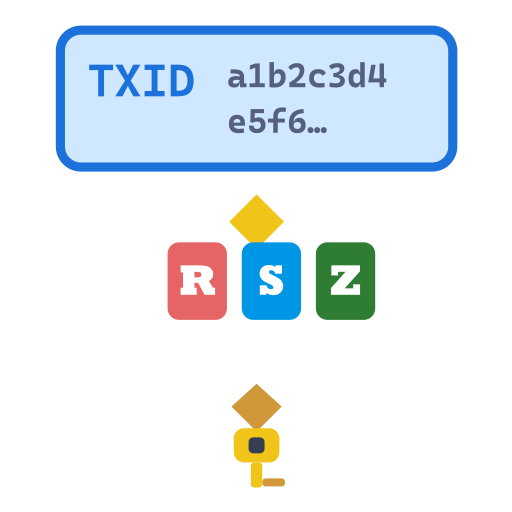 txid-rsz-recovery